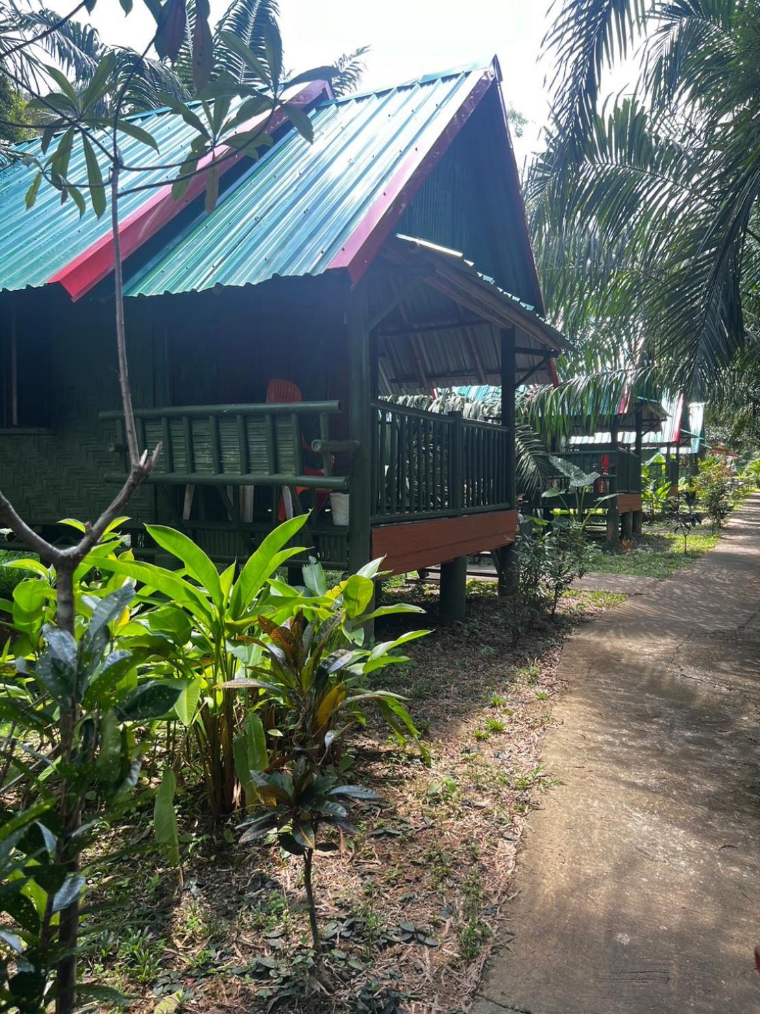 Khaosok Bamboo Huts Resort Khao Sok National Park エクステリア 写真