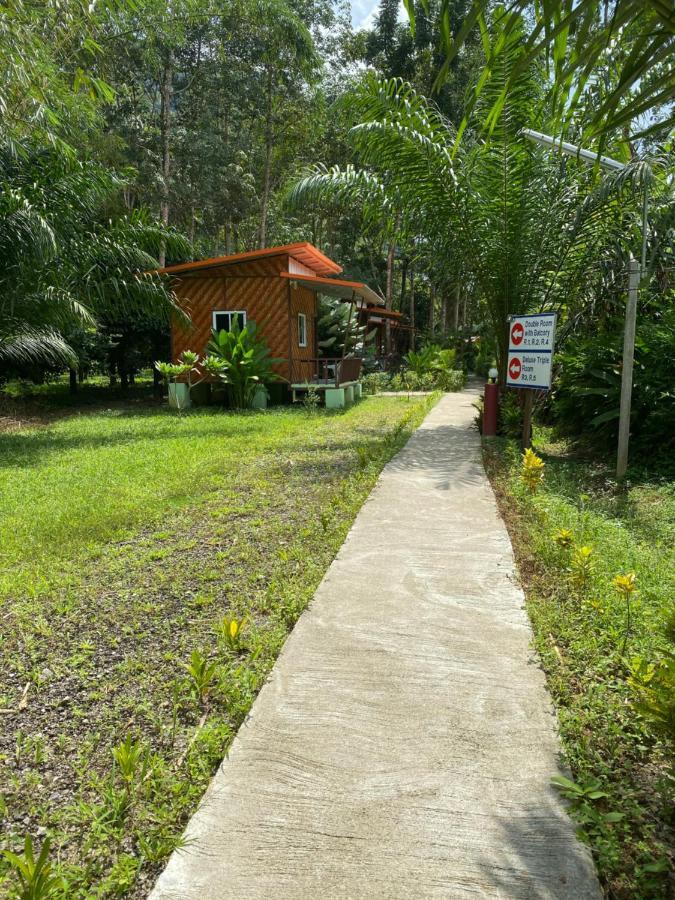 Khaosok Bamboo Huts Resort Khao Sok National Park エクステリア 写真